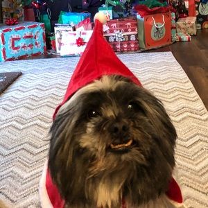 Meet your Posher, Jeff